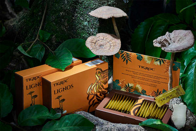 TIGROC - Combo Set (3 Boxes x 20sachet)